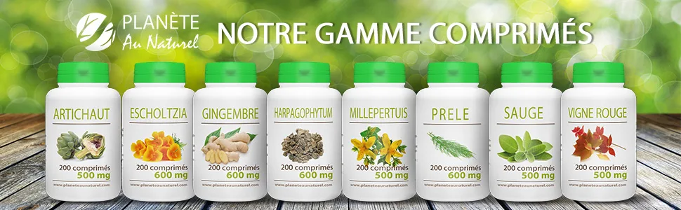 Ginger - 500 mg - 200 tablets - product information 2