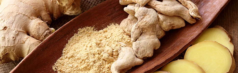 Ginger - 500 mg - 200 tablets - product information 6