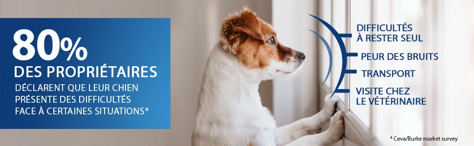 ADAPTIL Calm Anti-Stress for Dogs Refill 48 ML - Adaptil