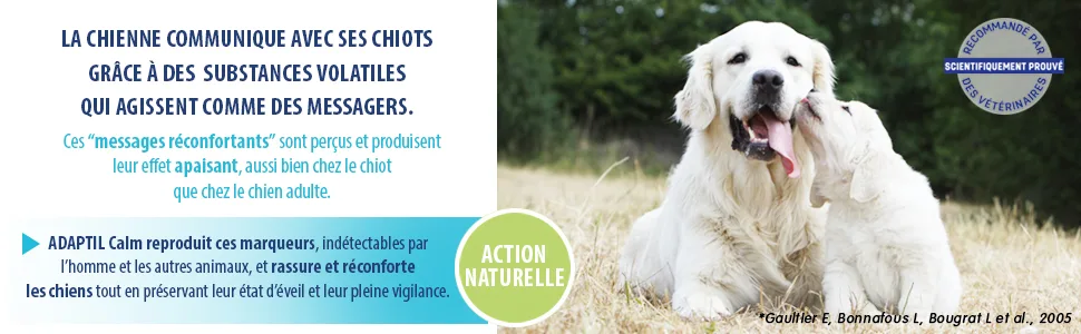 ADAPTIL Calm Anti-Stress for Dogs Refill 48 ML - Adaptil diffuseur beaphar beafar calmant médicament apaisant vétérinaire transport aboiements