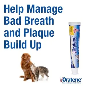 Pet King Brands Oratene Brushless Toothpaste Gel for Dogs and Cats, 2.5oz - Patented Antimicrobial LP3 and MD2 Enzyme Systems to Help Manage Bad Breath and Plaque Build Up