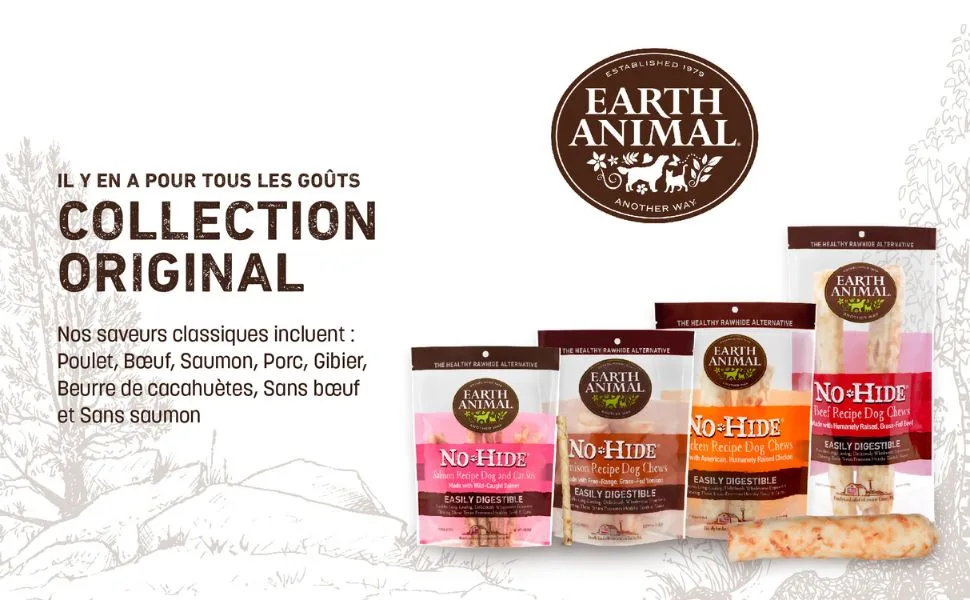 Earth Animal No Hide Stix Small Dog Chews with Natural Skinless Beef Long Lasting Chew Bones | Treats - No Hide