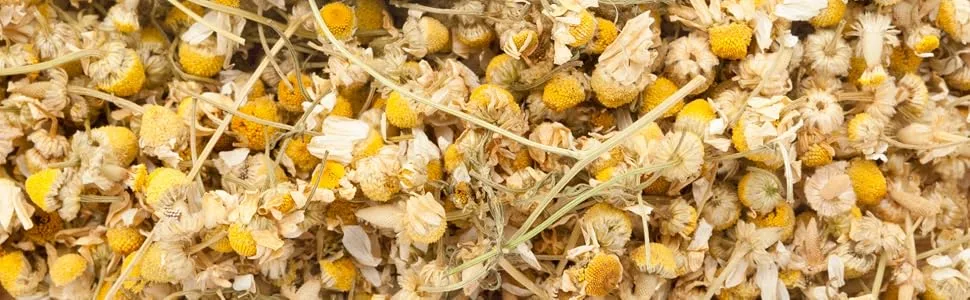 FRISAFRAN | Organic Chamomile Flowers | 100g | Chamomile | Chamomile | Chamomile | Chamomile Infusion | Chamomile Tea | Chamomile Tea | Chamomile Herbal Tea | Chamomile Infusion - camomille