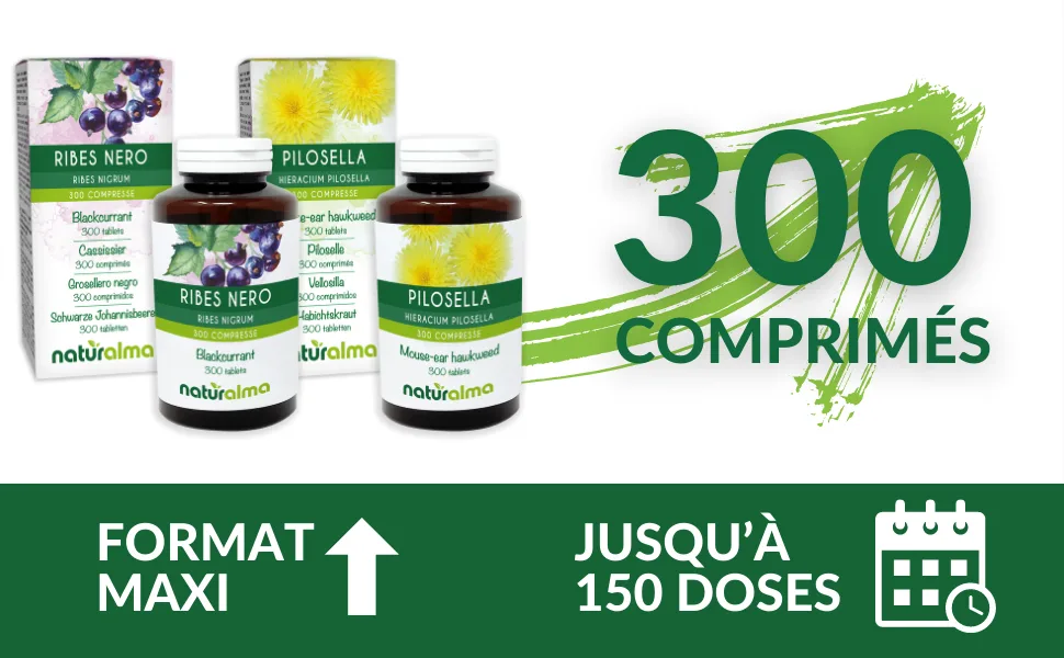 Milk thistle (Silybum marianum) herb and fruit Naturalma - 150 g - 300 tablets - dietary supplement - natural and vegan - 300 compresse 03