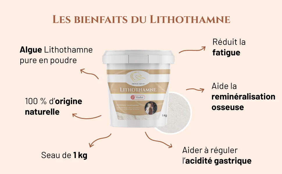 Prince Equin - LITHOTHAMNE - Horse nutritional supplement - 1 kg bucket - Natural calcium - Helps regulate gastric acidity - - Lithothamne cheval