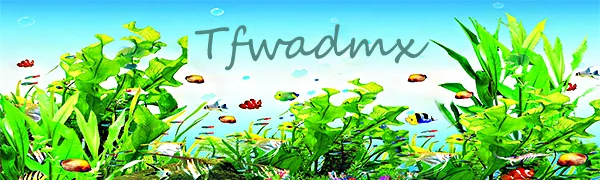 Tfwadmx Fish Breeding Box, Aquarium Breeder Box Fish Baby Hatchery Incubator Isolation with Artificial Plant - Fish Breeding Box