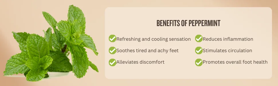 Ultimate Foot Care Kit: Exfoliating Essentials with Foot Mask Exfoliating Foot Mask and Foot Spa (One Size Coffee) - La menthe poivrée réduit l