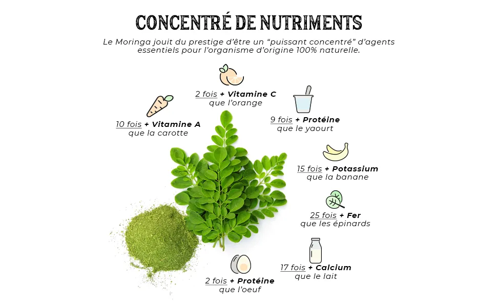 Moringa Organic *Plantae* 90 Herbal Capsules * Nutrient Concentrate * Superfood + Organic + Energy * - NUTRIENTES