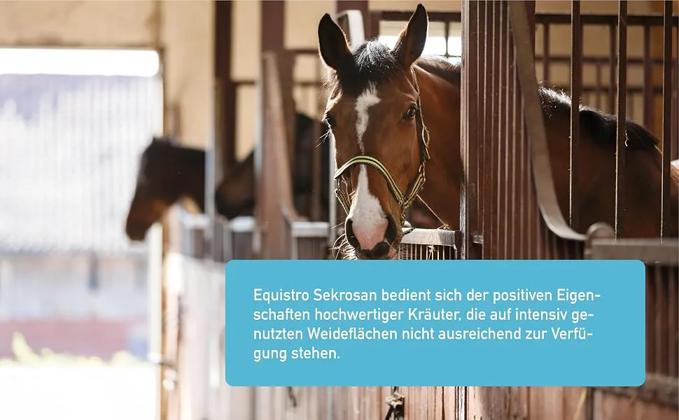 EQUISTRO Sekrosan Supplement for Horses to Support Normal Operation of Upper Airways Can Strengthen Respiratory Function 1 Litre - Lot de 2