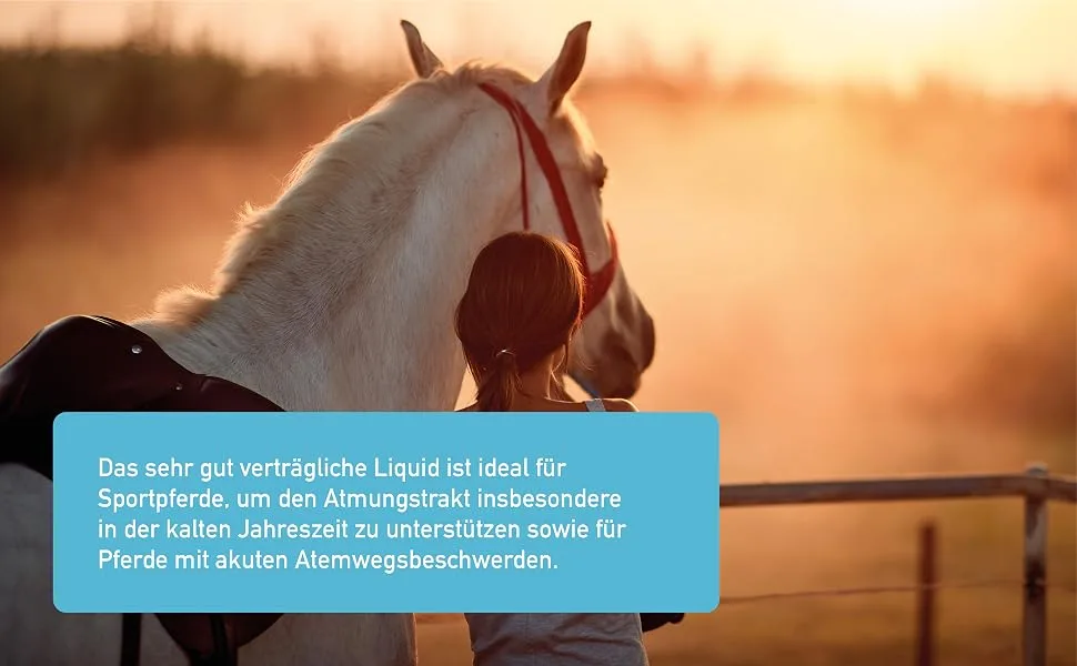 EQUISTRO Sekrosan Supplement for Horses to Support Normal Operation of Upper Airways Can Strengthen Respiratory Function 1 Litre - Taille 3 :