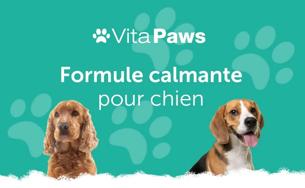 Calming Formula for Dogs | Natural Formula with Ginger & Chamomile Extracts | 120 Capsules | SimplySupplements - Formule calmante pour Chien