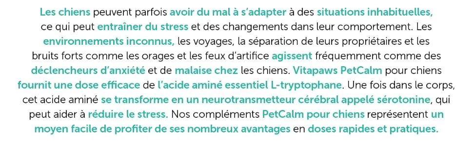 Calming Formula for Dogs | Natural Formula with Ginger & Chamomile Extracts | 120 Capsules | SimplySupplements - Formule calmante pour Chien