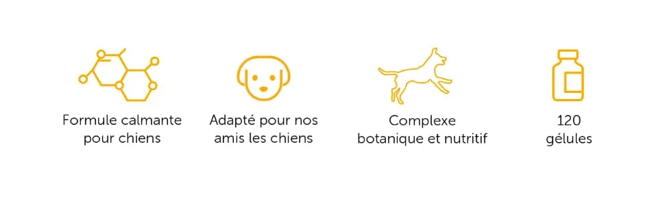 Calming Formula for Dogs | Natural Formula with Ginger & Chamomile Extracts | 120 Capsules | SimplySupplements - Formule calmante pour Chien
