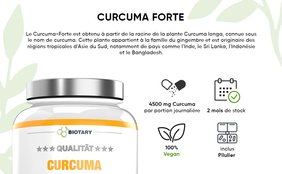 Turmeric Forte - 365 capsules - 4500mg per daily serving - with pill box - high dose - vegan - black pepper - lab tested - Fischöl