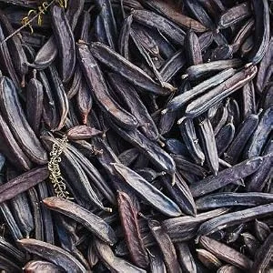 Natura d'Oriente Italian Carob Dehydrated 1000g - Carrube