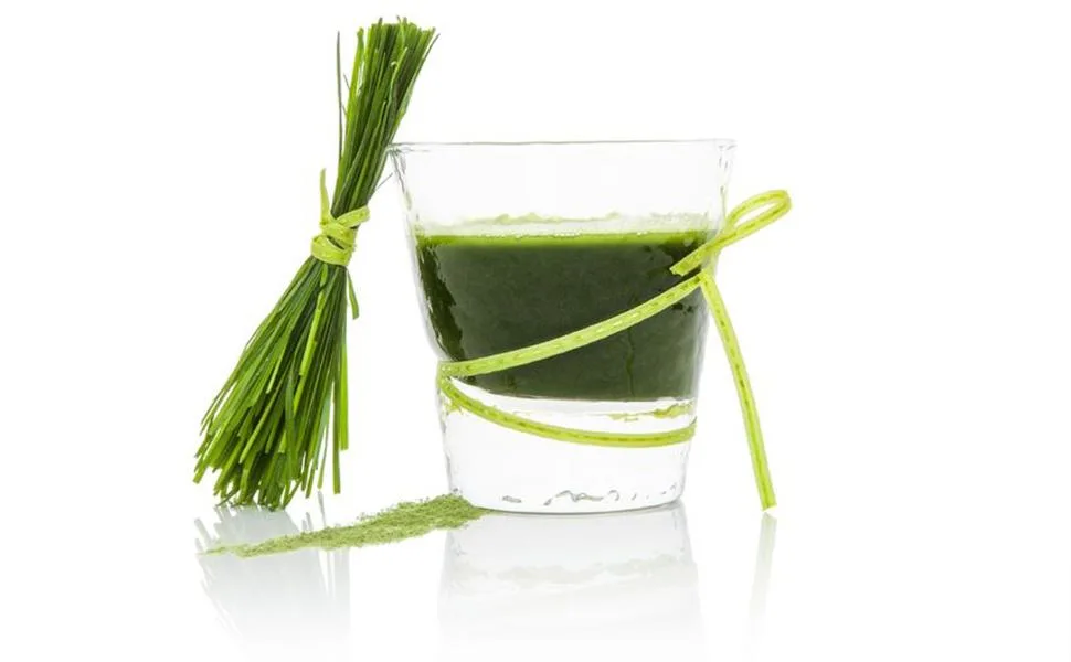 500 g Organic Wheat Grass Powder from GERMANY Raw Quality from Young Herbs No Additives for Green Smoothies - Boisson à l