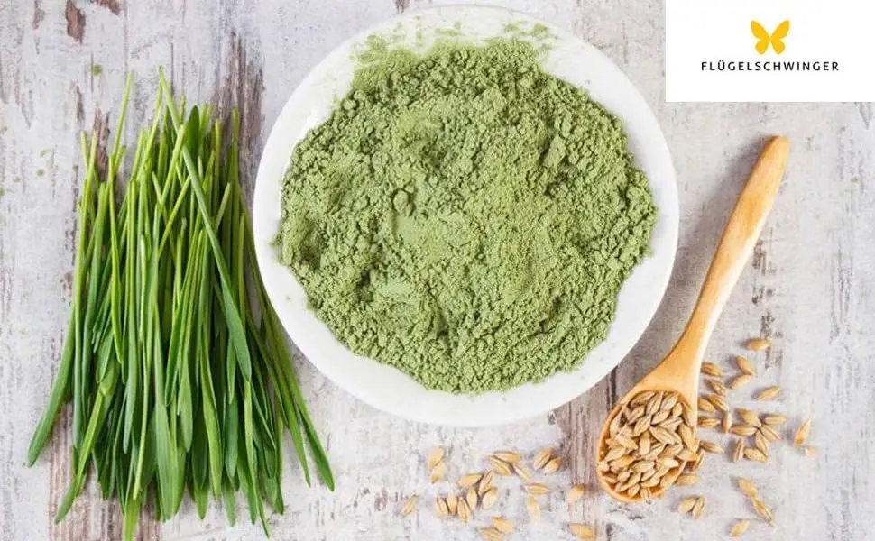 500 g Organic Wheat Grass Powder from GERMANY Raw Quality from Young Herbs No Additives for Green Smoothies - Poudre d