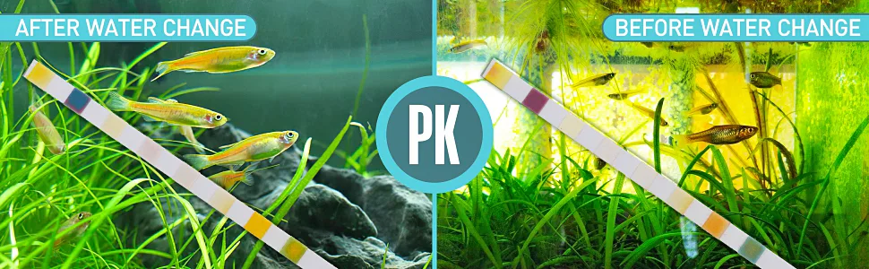 hygger 8-in-1 Aquarium Test Strips for Freshwater & Saltwater, Water Parameter Testing Ammonia Nitrite Nitrate Chlorine Hardness Carbonate Root PH Level Alkalinity 50-strip - test result