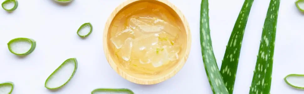 Benessence - Darmagel: Organic aloe vera intimate cleanser for the whole family - 250mL - aloe