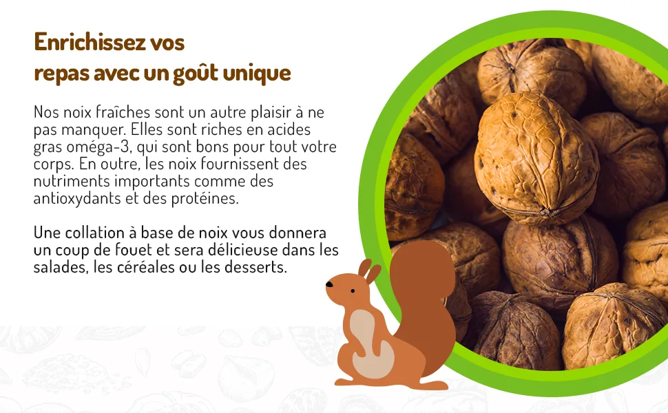 Raw Hazelnuts in Shell from Poland | 2 kg | Premium | Packaging: Cardboard - product information 5