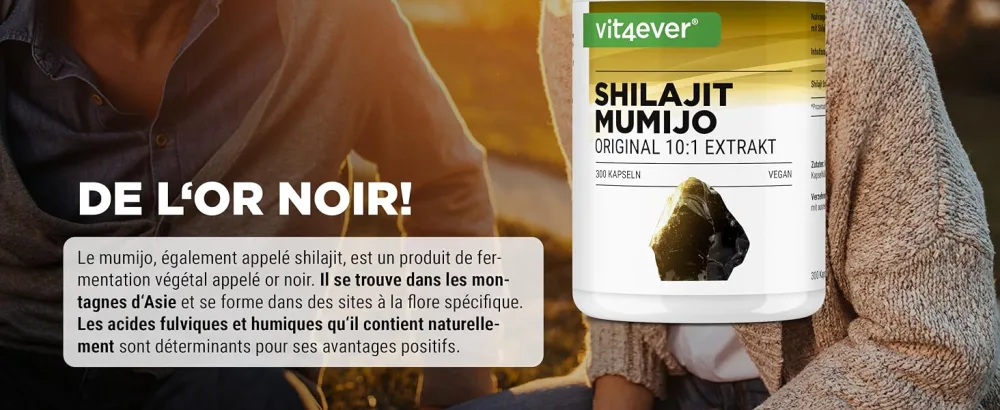 Mumijo Shilajit - 300 Softgels - High Dosed with 1500mg per Daily Serving - Original Himalayan Extract 10:1 - No Additives - Vegan - Vit4ever