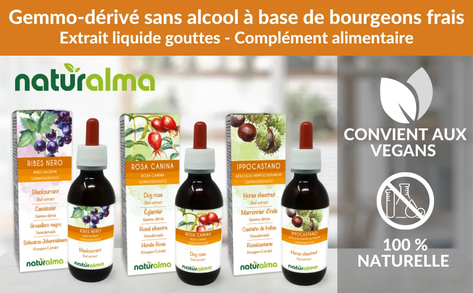 Common charm (Carpinus betulus) Gemmo-derived alcohol-free from fresh buds Naturalma - Liquid extract drops 120 ml - Dietary supplement - Vegan or vegan - gemmoderivati linea corretto