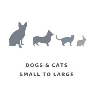 Digital Dog Scale Load Version Pet Platform 3 Weighing Modes kg kg Maximum Weight 100 - pèse-personne