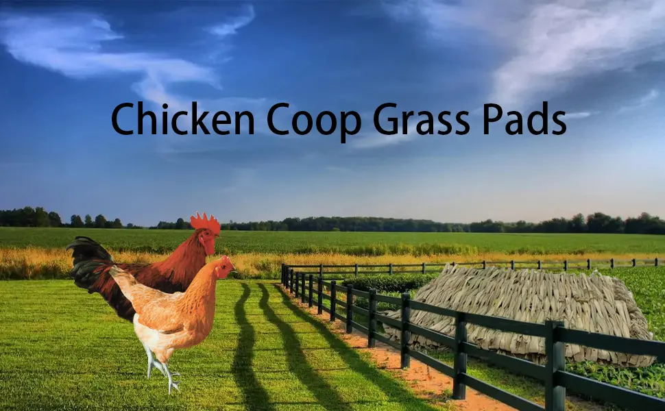 MUYG Chicken Nesting Box Pads,Chickens Coop Grass Pads Handwoven Grass Turf Hen Nest Liners Small Animal Natural Straw Mat Rabbit Bedding Pads(6 PCS) - Chicken Coop Grass Pads