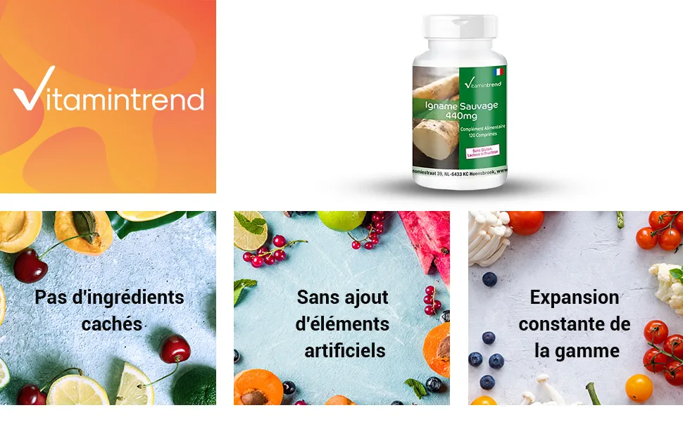 Wild Yam Extract 440mg - 120 Tablets - 20% Diosgenin - Vitamintrend - Yam Extract - High Dosed - Vegan | Vitamintrend  - product information 1