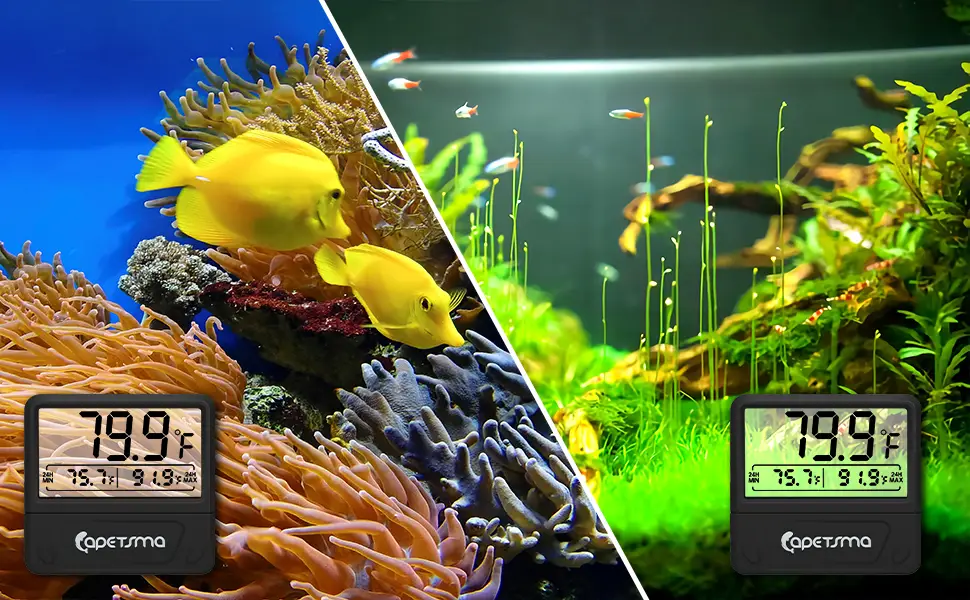 capetsma Aquarium Thermometer Digital Fish Tank Thermometer Large LCD Screen Records High & Low Water Temperature in 24 hrs Black - aquarium thermometer digital