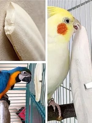 Jmxu's 5"-5.5" Bird Cuttlebone for Parakeets, Cuddle Bone with Metal Holder, Chewing Cuttlefish Bone for Sharp Beaks, Natural Birds Calcium Suitable for Parrots Cockatiels Budgie 6 pack-5"-5.5" each - product information 2
