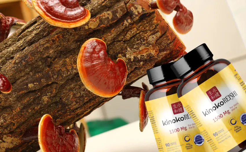 Reishi Pure 1500mg - 90 Capsules with 50% Polysaccharides Beta Glucans Ganoderma Lucidum Without Magnesium Stearate - polysaccharides reishi ganoderma lucidum poudre gelules solgar sumo lingzhi gano puro pure pur