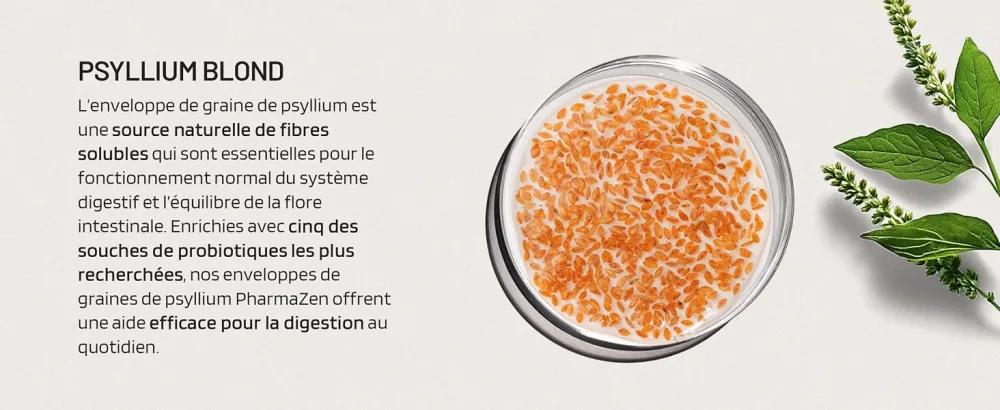 Psyllium Blond with Probiotics 1400 mg - 99% Pure Integuments - 60 Capsules - Transit Digestion Intestinal Function - Dietary Fiber with Psyllium Husk & Probiotic Complex 6 Billion CFU - Téguments de Psyllium blond