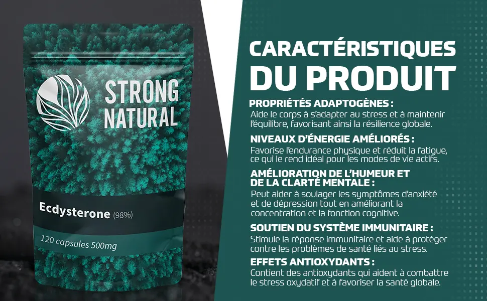 Strong Natural Rhodiola Rosea 3% Salidroside 120 Capsules 500mg Vegan Quality - product information 3