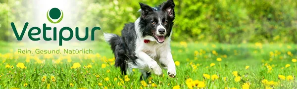 Colostrum 500mg - 90 tablets for dogs | Vetipur - product information 1