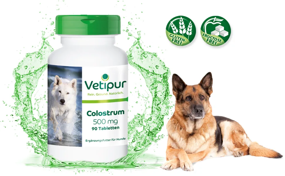 Colostrum 500mg - 90 tablets for dogs | Vetipur - product information 2