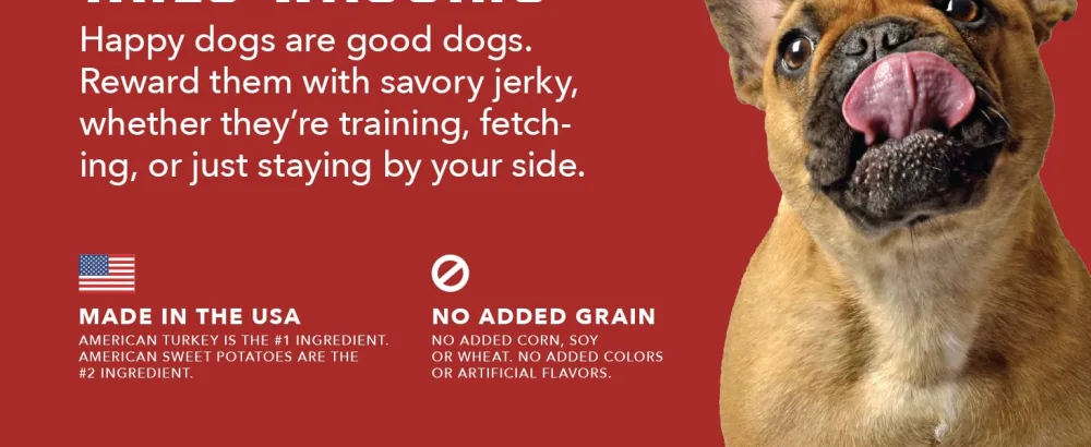 Amazon Brand  Wag Soft & Tender American Jerky Dog Treats Dog Treats 1 Pound - biscuit, biscuits, biscuits for dogs, No added colors, No artificial flavors, best for dogs