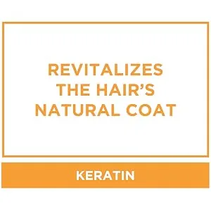 Veterinary Formula Clinical Care Antiseptic and Antifungal Spray/Shampoo for Dogs and Cats 8 oz Spray - keratin