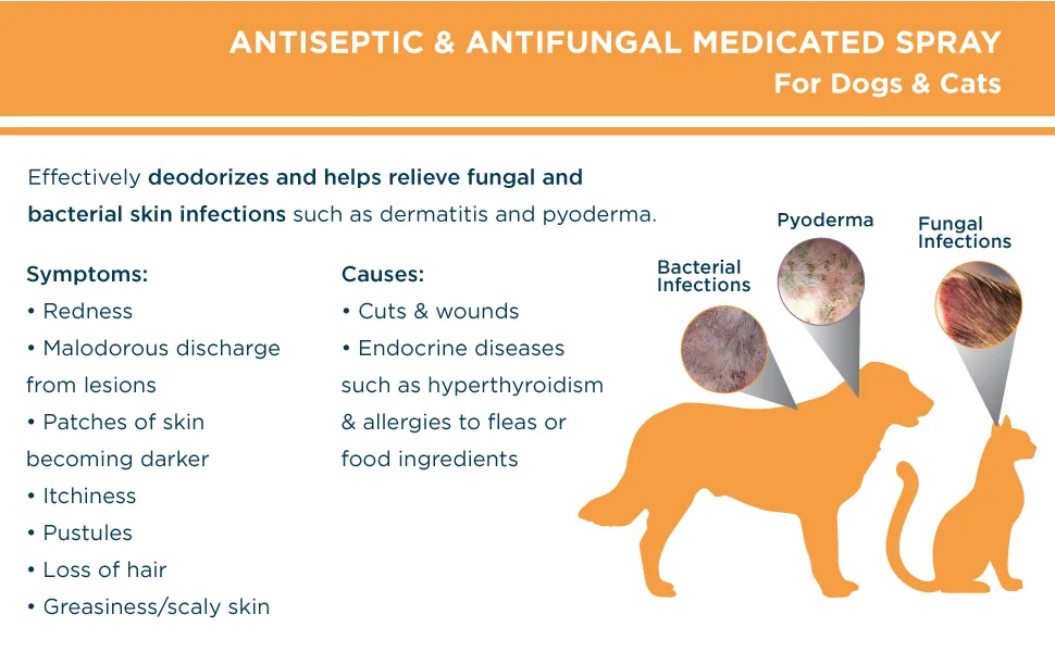 Veterinary Formula Clinical Care Antiseptic and Antifungal Spray/Shampoo for Dogs and Cats 8 oz Spray - medicated spray
