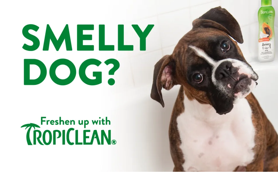 TropiiClean Complete Ear Care Line - Eliminates Smell & Relieves Itching Cocoa Butter - ear cleaner dog cat pet solution wash otic epiotic cleanser wax itchy yeast perro
