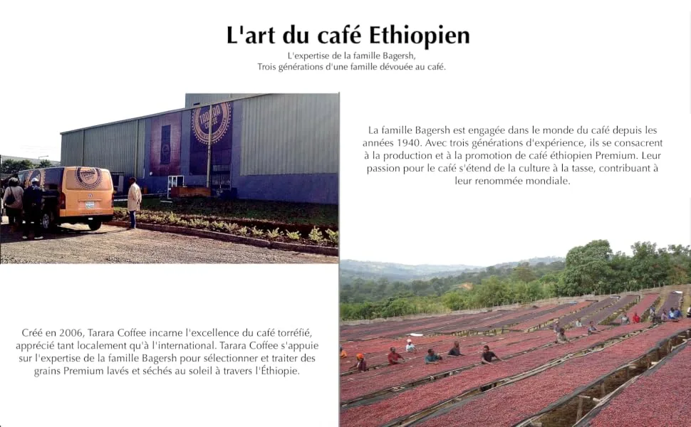 Tarara Coffee - Premium Grain Coffee - 100% Pure Arabica Ethiopia - Medium Dark Artisanal Roast - Rich & Aromatic - 1kg - Tarara Coffee Cavon Coffee