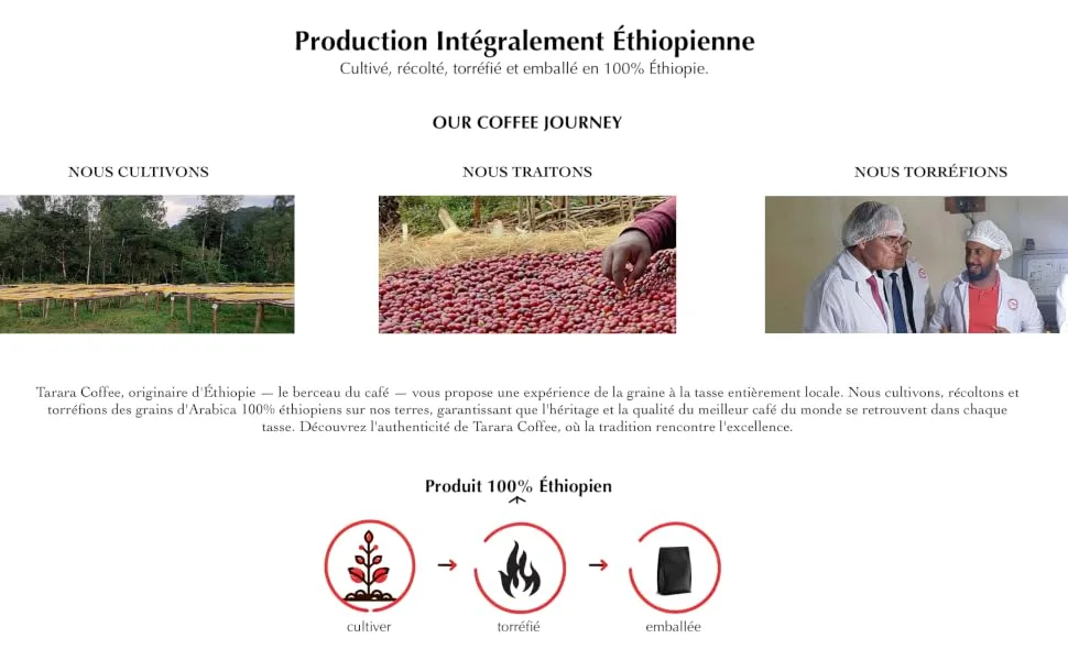 Tarara Coffee - Premium Grain Coffee - 100% Pure Arabica Ethiopia - Medium Dark Artisanal Roast - Rich & Aromatic - 1kg - Tarara coffee Cavon Coffee