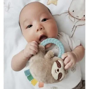 Itzy Ritzy - Ritzy Rattle Pal with Teether Features A Minky Plush Character, Gentle Rattle Sound & Soft Teether Koala - itzy ritzy, ritzy rattle pal, sensory toy, baby rattle, teether