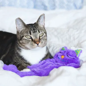 Petstages Cat Pillow  Soft, Soothing, and Comforting Cat Toys Purr Pillow Kitty - image