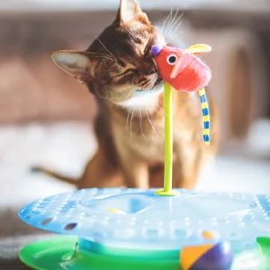 Petstages Cat Pillow  Soft, Soothing, and Comforting Cat Toys Purr Pillow Kitty - image