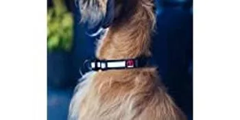 Mikki - 'all Tangled Up' Matt Splitter For Dogs & Cats | Medium/fine Coats - product information 3