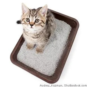 Four Paws Magic Coat Professional Series Love Glove Cat Grooming Mitt - product information 4