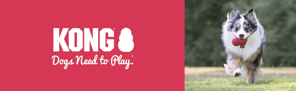 KONG - Ring - Durable Rubber Dog Chew Toy Medium/Large Standard Packaging - KONG Dogs Need to Play