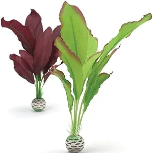 biOrb Easy Plant Sets Medium Purple/Green - product information 2
