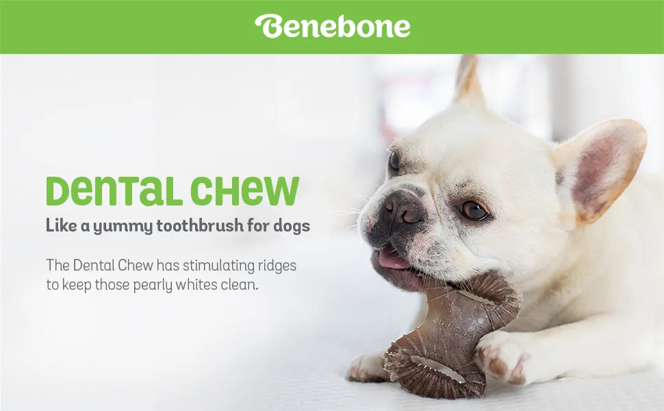Benebone Dental Dog Chew Toy for Aggressive Chewers, Long Lasting, Made in USA REAL Bacon Medium - product information 1
